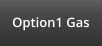 Option1 Gas