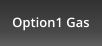 Option1 Gas